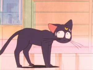 SailorMoon-s1-011(22).jpg