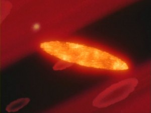 SailorMoon-s1-011(426).jpg