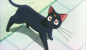 SailormoonS-movie (313).jpg