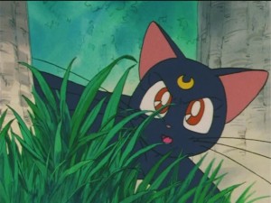 screenshot-anime-sailor-moon-s-episode-090-365.JPG