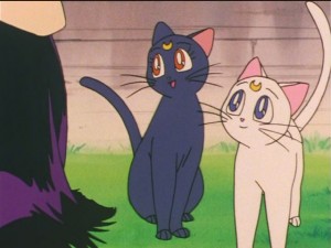 screenshot-anime-sailor-moon-s-episode-090-489.JPG