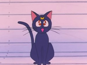 screenshot-anime-sailor-moon-s-episode-093-110.jpg