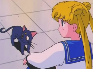 screenshot-anime-sailor-moon-s-episode-094-009.jpg