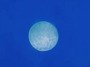 screenshot-anime-sailor-moon-s-episode-094-464.jpg
