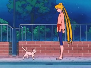 screenshot-anime-sailor-moon-s-episode-097-217.jpg
