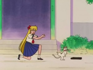 screenshot-anime-sailor-moon-s-episode-100-030.jpg