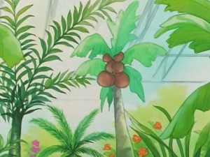 screenshot-anime-sailor-moon-s-episode-116-279.jpg