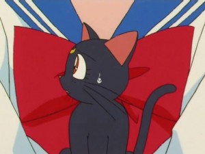 screenshot-anime-sailor-moon-s-episode-117-022.jpg