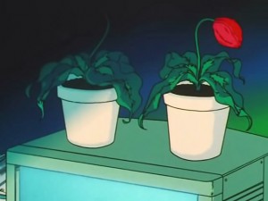 screenshot-anime-sailor-moon-s-episode-121-063.jpg