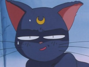 screenshot-anime-sailor-moon-super-s-episode-146-019.JPG