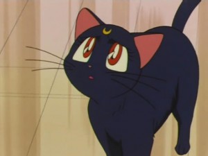 screenshot-anime-sailor-moon-super-s-episode-160-163.jpg