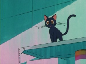 SailorMoon-s1-005(398).jpg