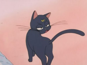 SailorMoon-s1-008(84).JPG