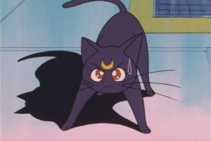 SailorMoon-s1-013(376).JPG