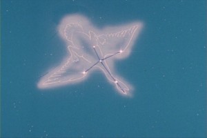 SailorMoon-s1-013(74).JPG