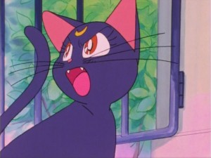 SailorMoon-s1-016(164).jpg