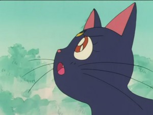 SailorMoon-s1-026(128).JPG