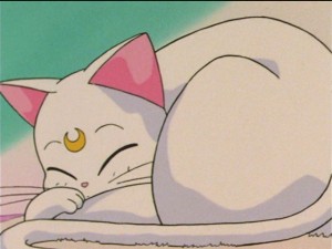 SailorMoon-s1-038(91).JPG