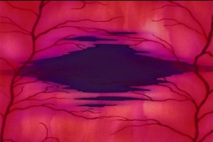 SailorMoon-s1-046(234).jpg