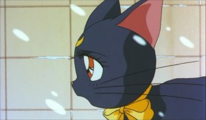 SailormoonS-movie (1169).jpg