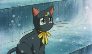 SailormoonS-movie (1237).jpg