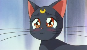 SailormoonS-movie (2061).jpg
