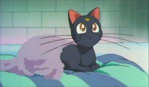 SailormoonS-movie (252).jpg
