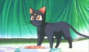 SailormoonS-movie (268).jpg