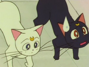 sailormoon-supers-142 (233).jpg