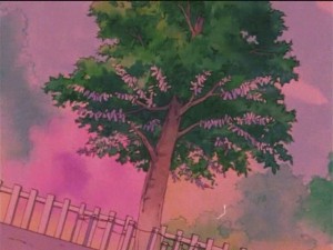 screenshot-anime-sailor-moon-s-episode-090-231.JPG