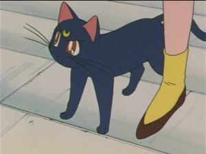 screenshot-anime-sailor-moon-s-episode-090-336.JPG