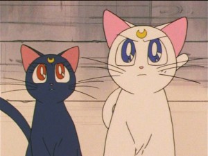 screenshot-anime-sailor-moon-s-episode-090-493.JPG