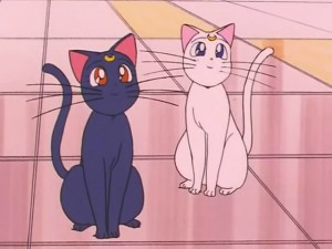 screenshot-anime-sailor-moon-s-episode-097-430.jpg