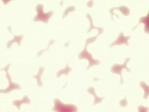 screenshot-anime-sailor-moon-s-episode-100-088.jpg
