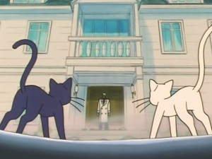 screenshot-anime-sailor-moon-s-episode-118-152.jpg