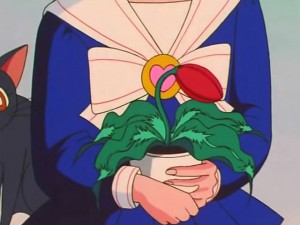 screenshot-anime-sailor-moon-s-episode-121-284.jpg