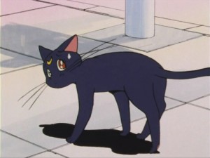 SailorMoon-s1-005(129).jpg