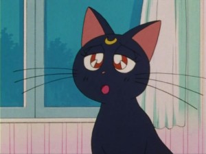 SailorMoon-s1-005(186).jpg