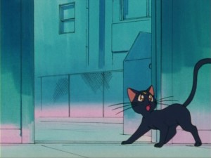 SailorMoon-s1-005(409).jpg