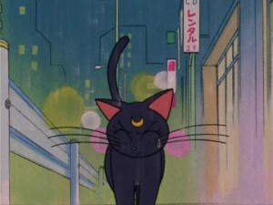 SailorMoon-s1-006(146).jpg