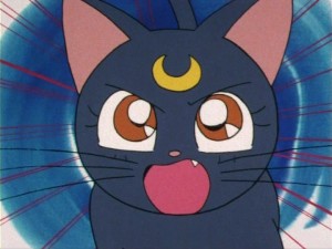 SailorMoon-s1-006(394).jpg