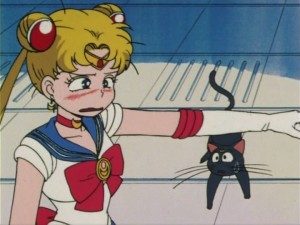 SailorMoon-s1-006(418).jpg