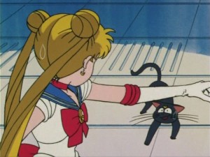 SailorMoon-s1-006(419).jpg