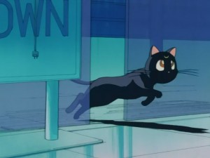 SailorMoon-s1-008(107).JPG