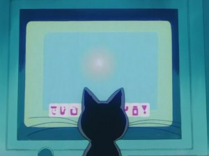 SailorMoon-s1-008(116).JPG