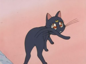 SailorMoon-s1-008(85).JPG