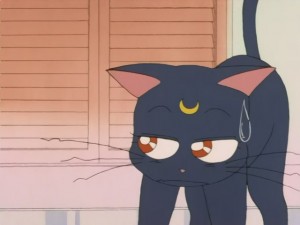 SailorMoon-s1-008(91).JPG