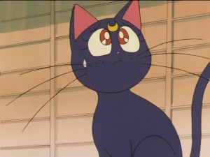 SailorMoon-s1-026(140).JPG