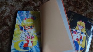 SailorV-06.jpg