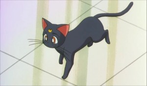 SailormoonS-movie (2048).jpg